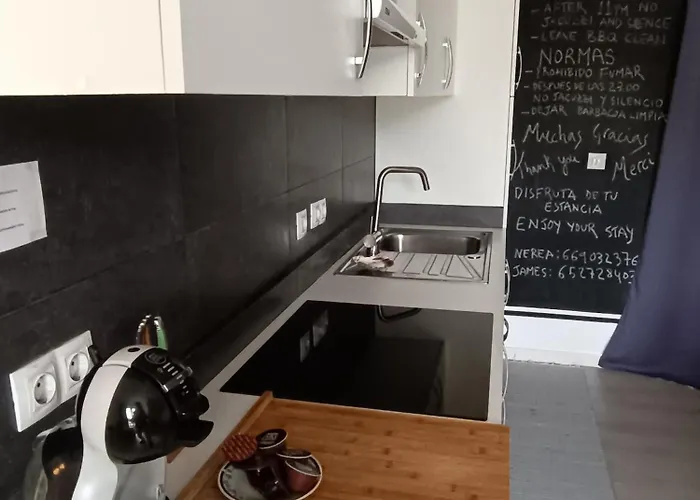 Plena Naturaleza En Pleno San Sebastián