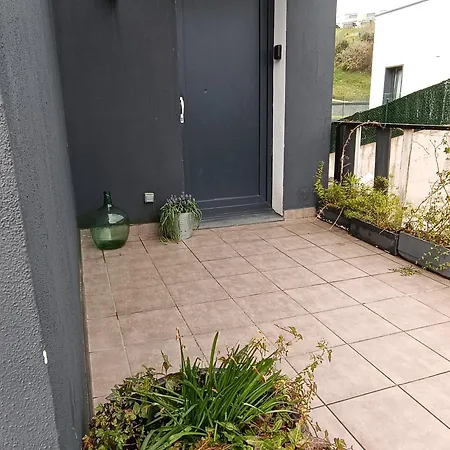 Plena Naturaleza En Pleno San Sebastián