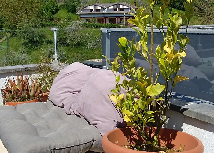 Plena Naturaleza En Pleno * 圣塞瓦斯蒂安