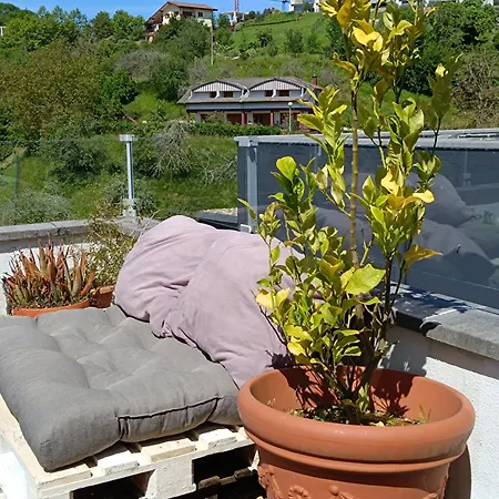 Plena Naturaleza En Pleno * San Sebastian