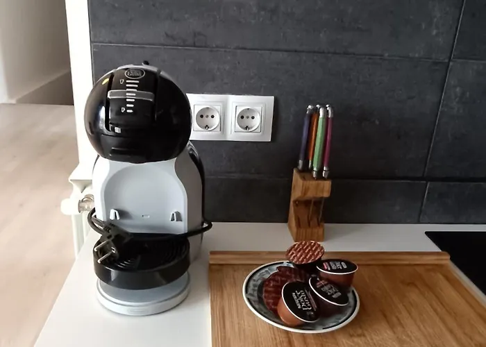 Plena Naturaleza En Pleno * サン・セバスティアン